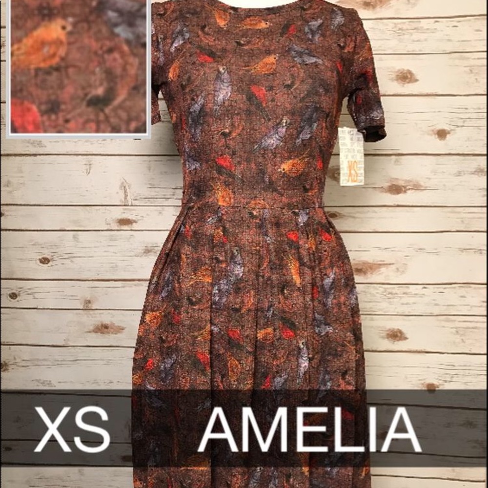 LuLaRoe XS Amelia